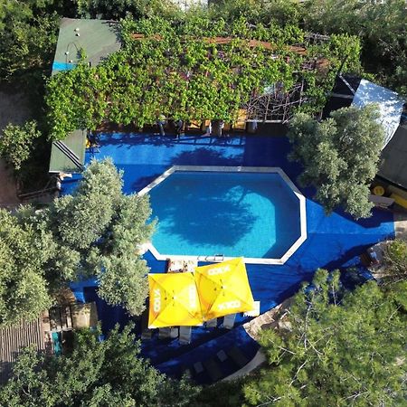 מלון פאראליה Shiva Camp מראה חיצוני תמונה