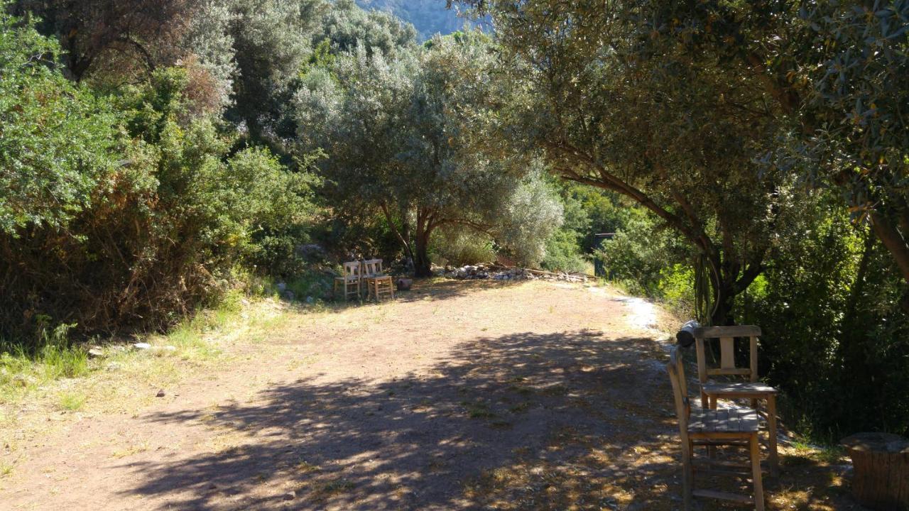 מלון פאראליה Shiva Camp מראה חיצוני תמונה