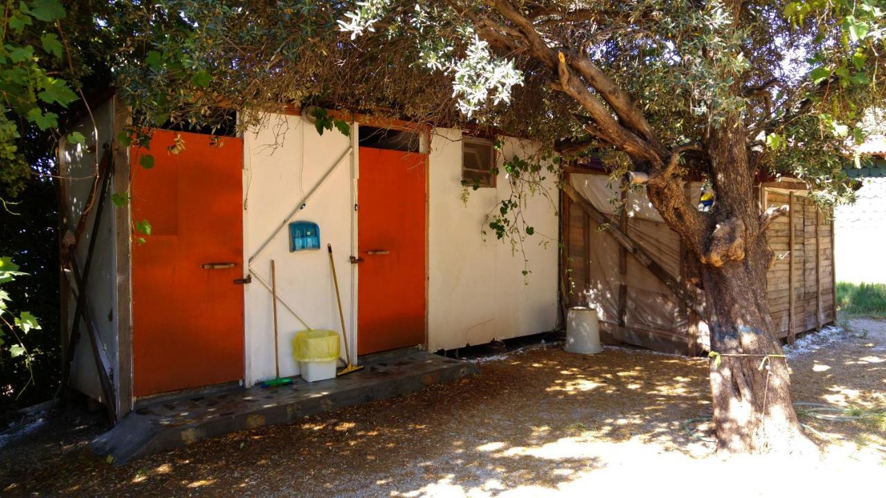 מלון פאראליה Shiva Camp מראה חיצוני תמונה