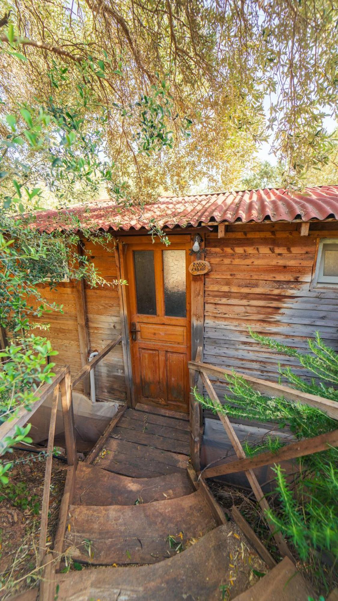 מלון פאראליה Shiva Camp מראה חיצוני תמונה