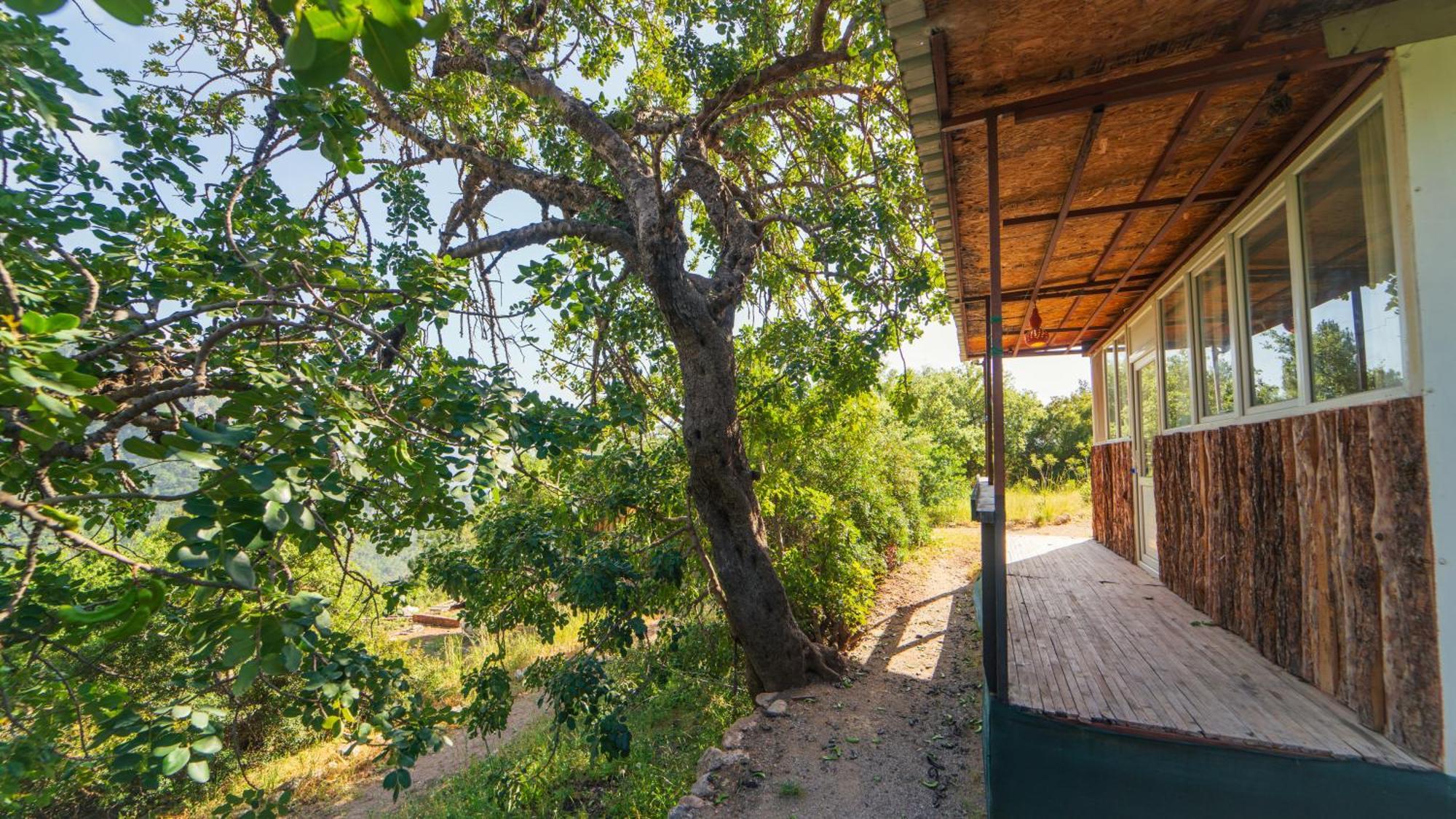 מלון פאראליה Shiva Camp מראה חיצוני תמונה
