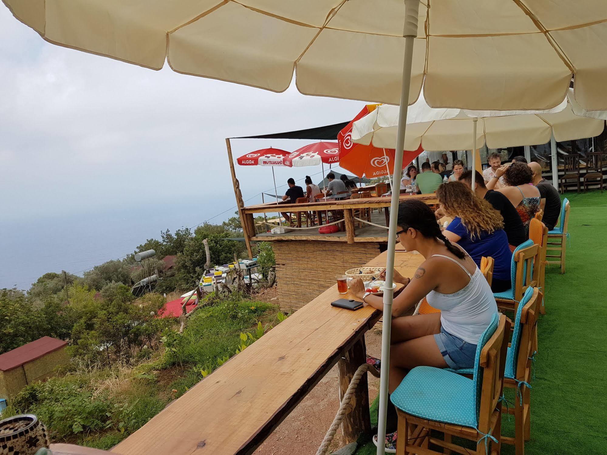מלון פאראליה Shiva Camp מראה חיצוני תמונה