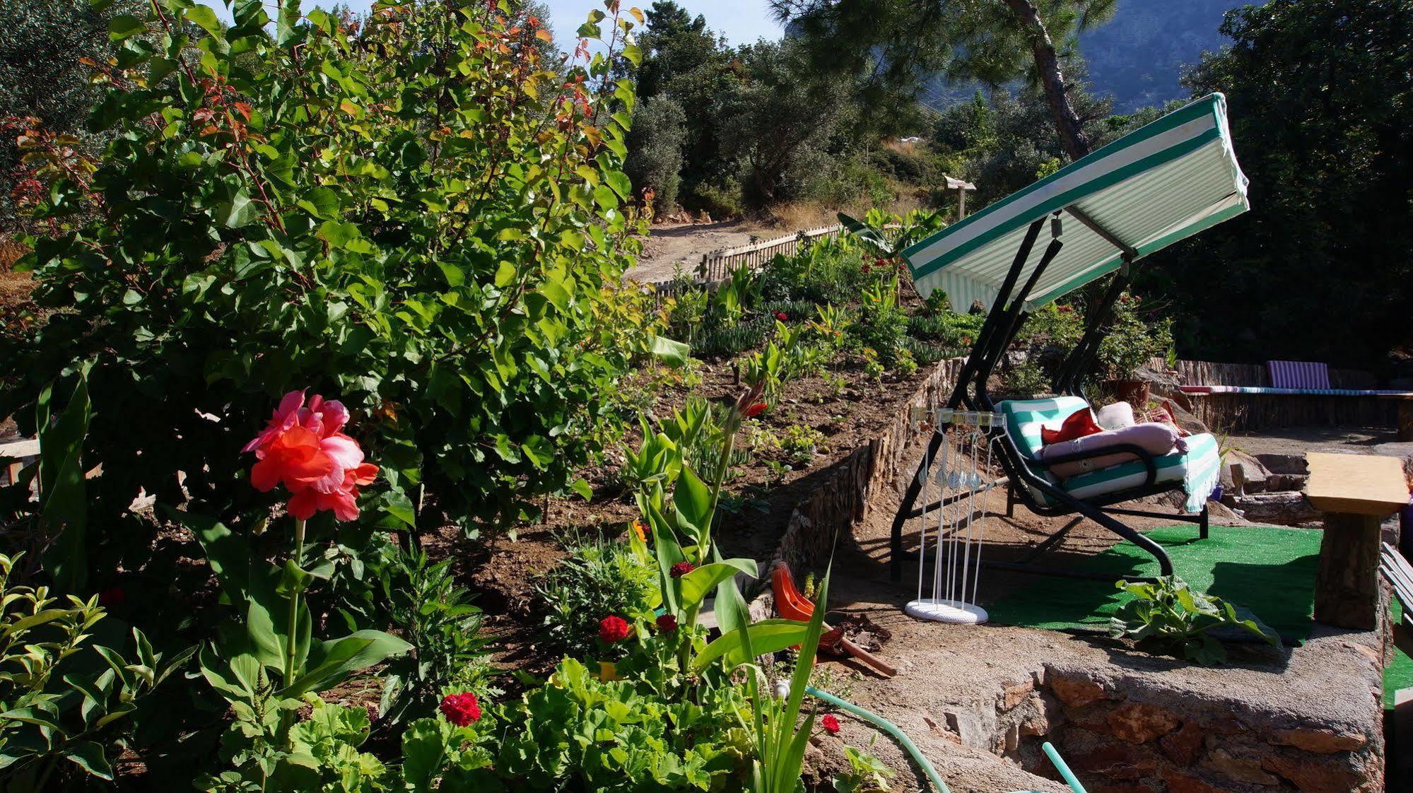 מלון פאראליה Shiva Camp מראה חיצוני תמונה